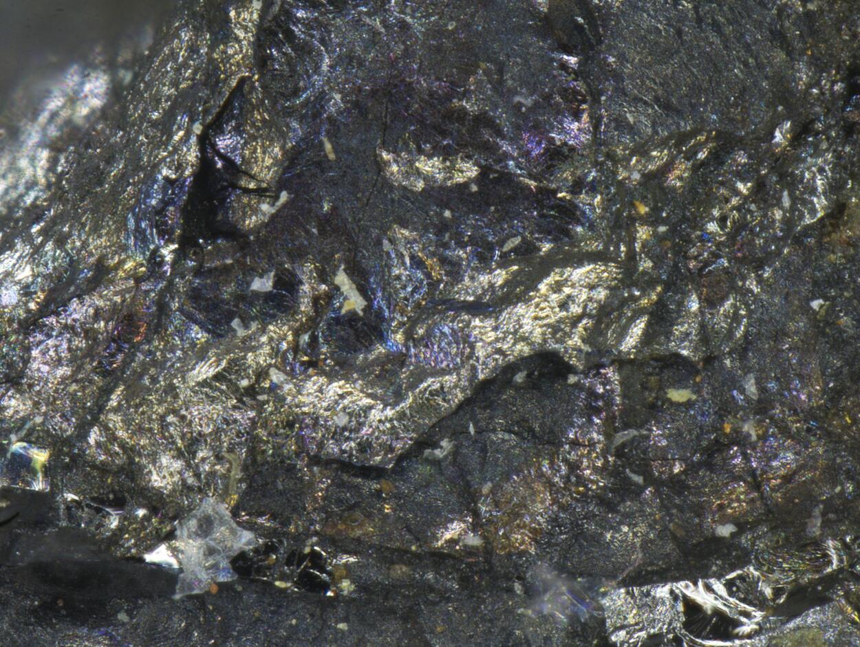 Sperrylite & Cabriite