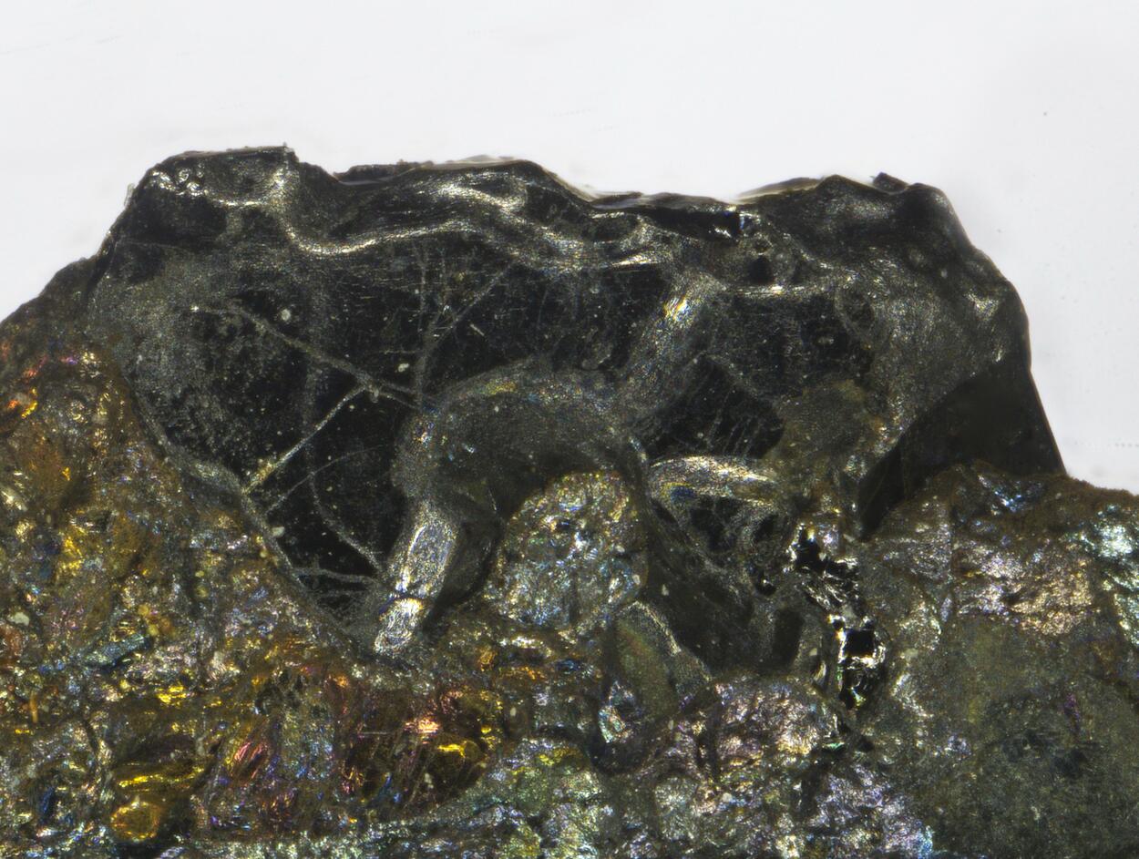 Sperrylite & Cabriite