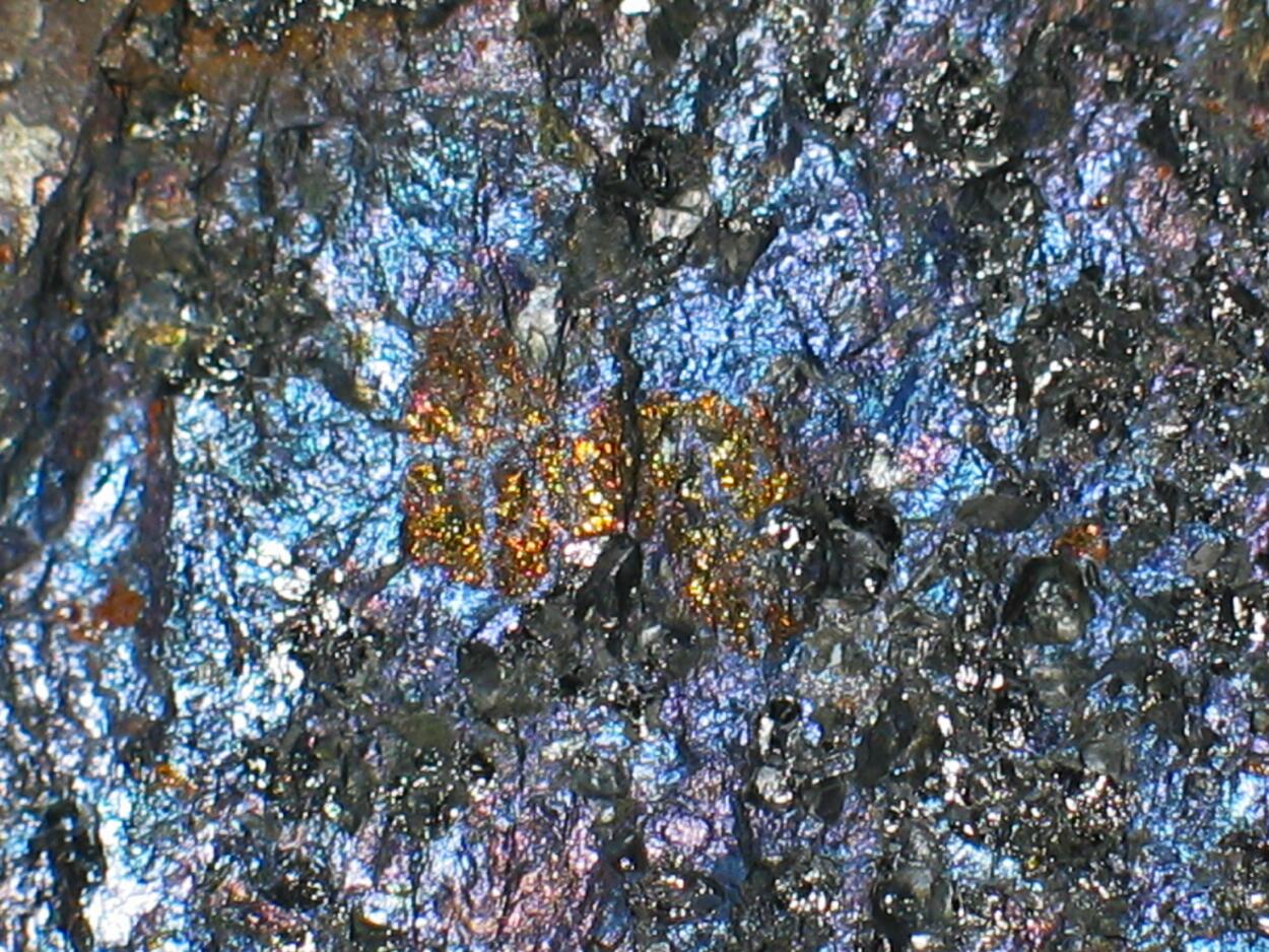 Sperrylite & Cabriite