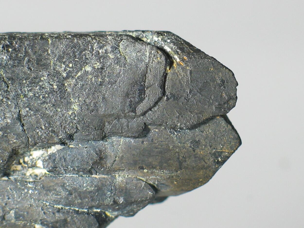 Columbite