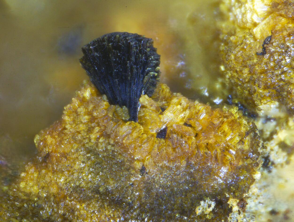 Jahnsite Rockbridgeite & Mitridatite