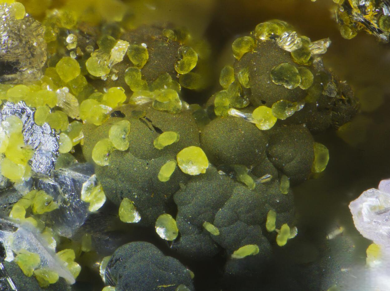 Cyrilovite & Beraunite & Strengite