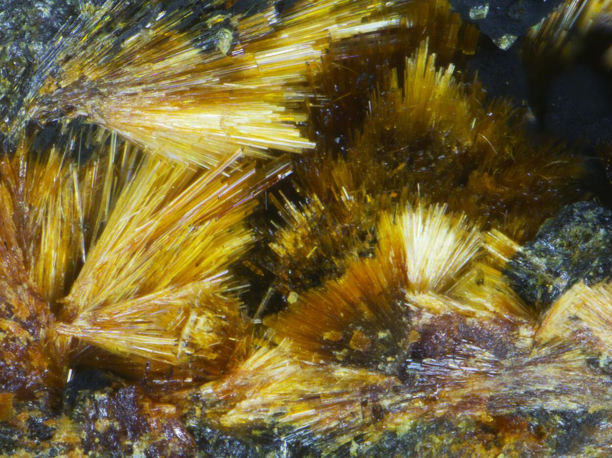 Cyrilovite & Beraunite & Strengite