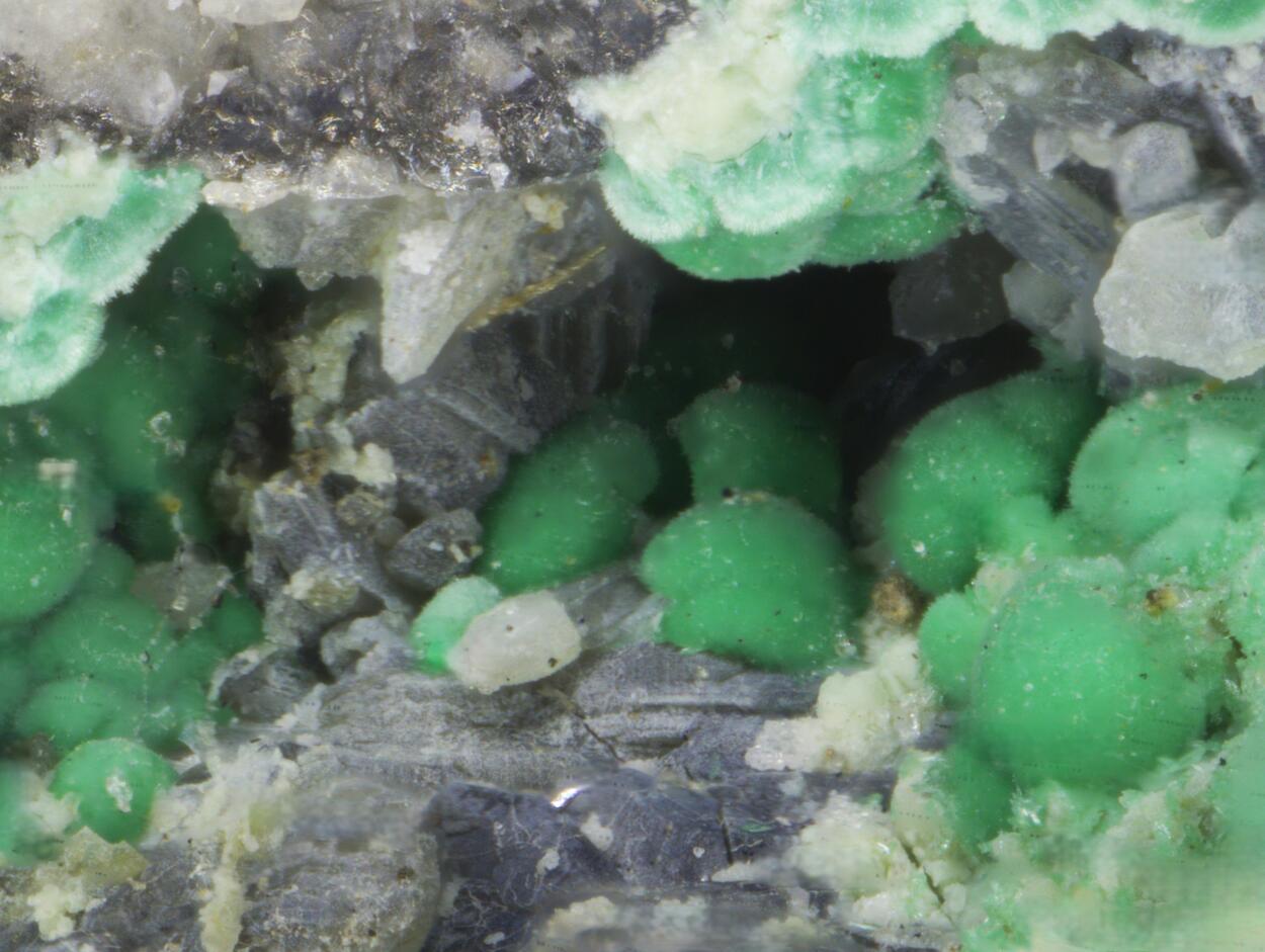 Pyromorphite Cerussite & Malachite