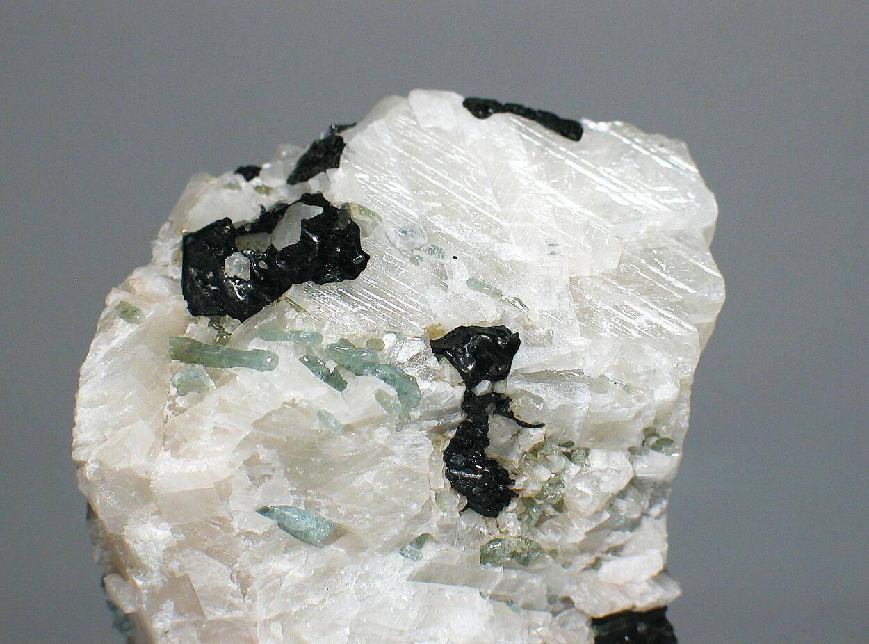 Pargasite & Apatite