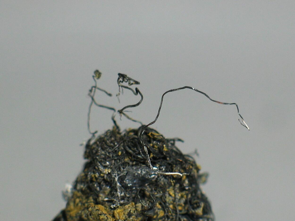 Native Silver & Acanthite