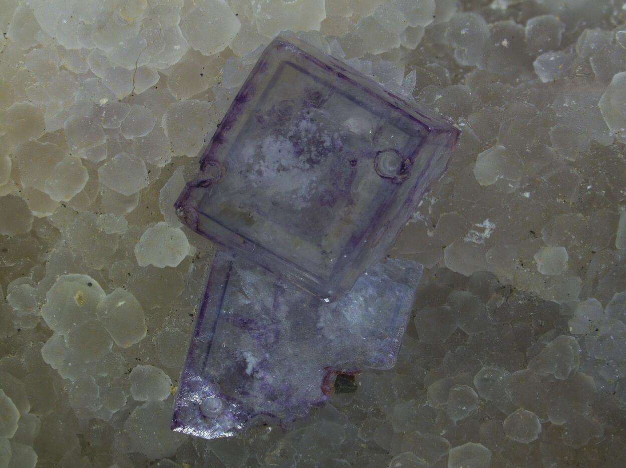 Fluorite & Pyrite
