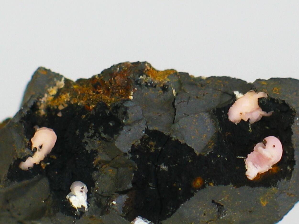 Rhodochrosite