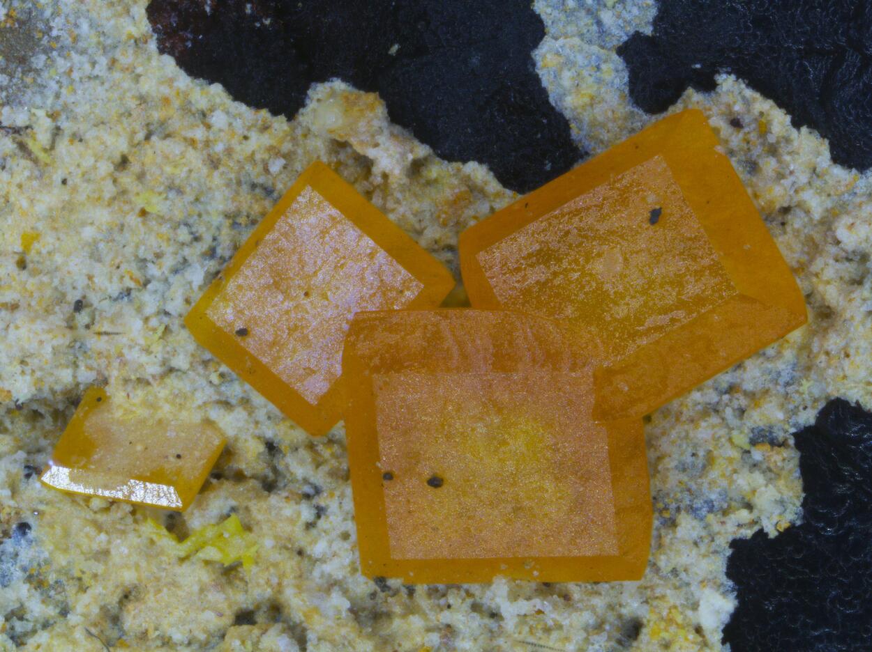 Wulfenite & Mimetite