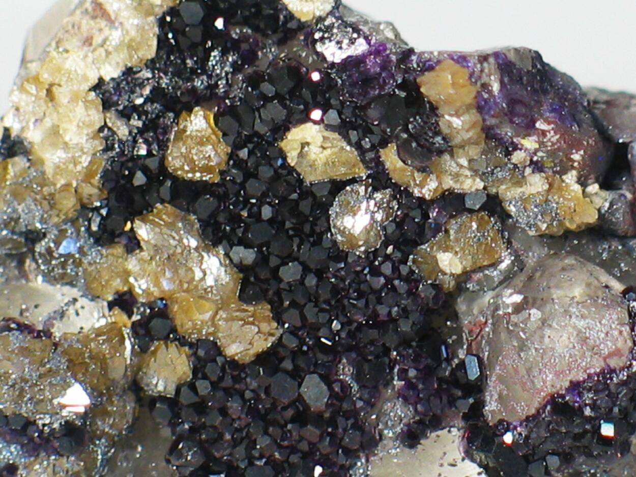 Scheelite & Fluorite