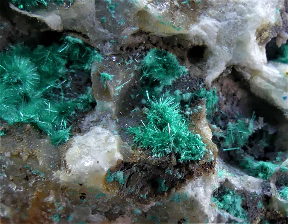 Brochantite & Linarite