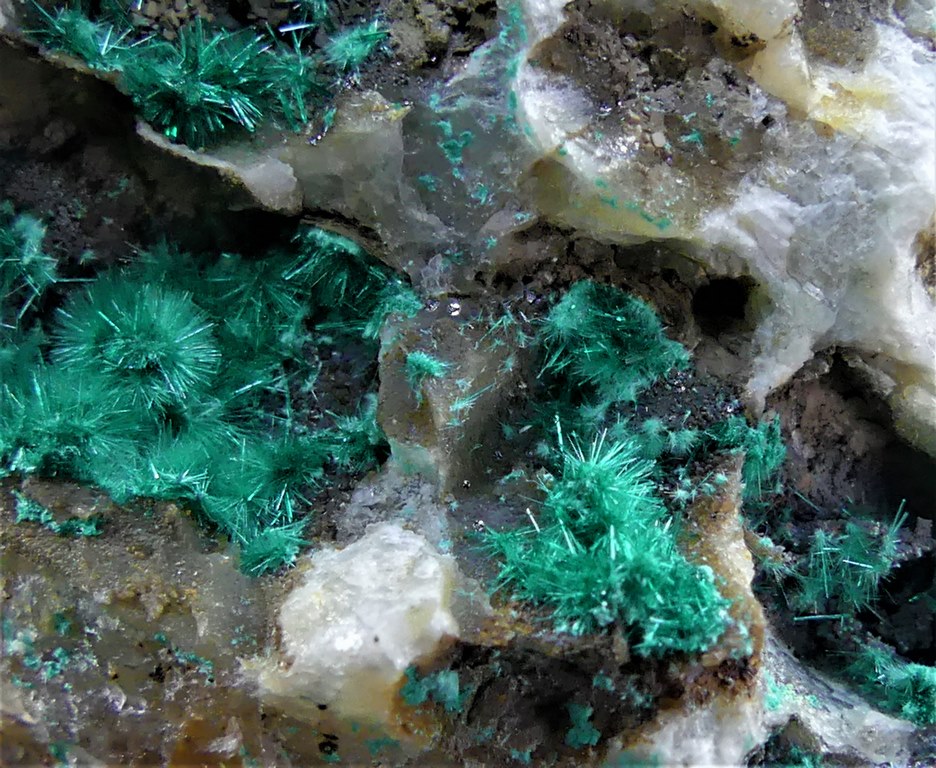 Brochantite & Linarite
