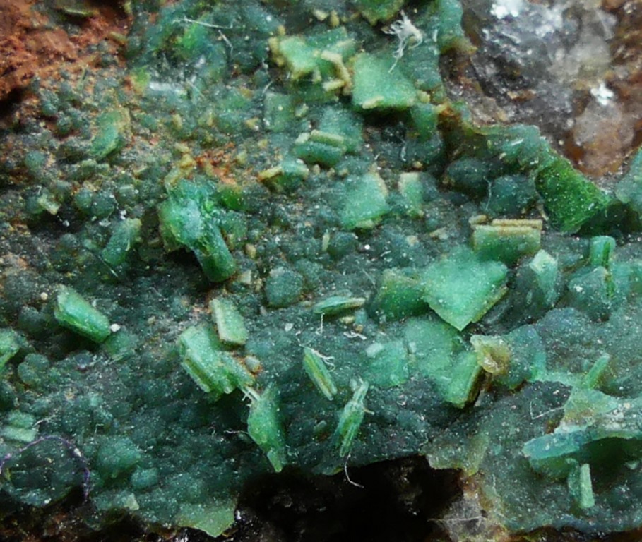 Metazeunerite & Turquoise