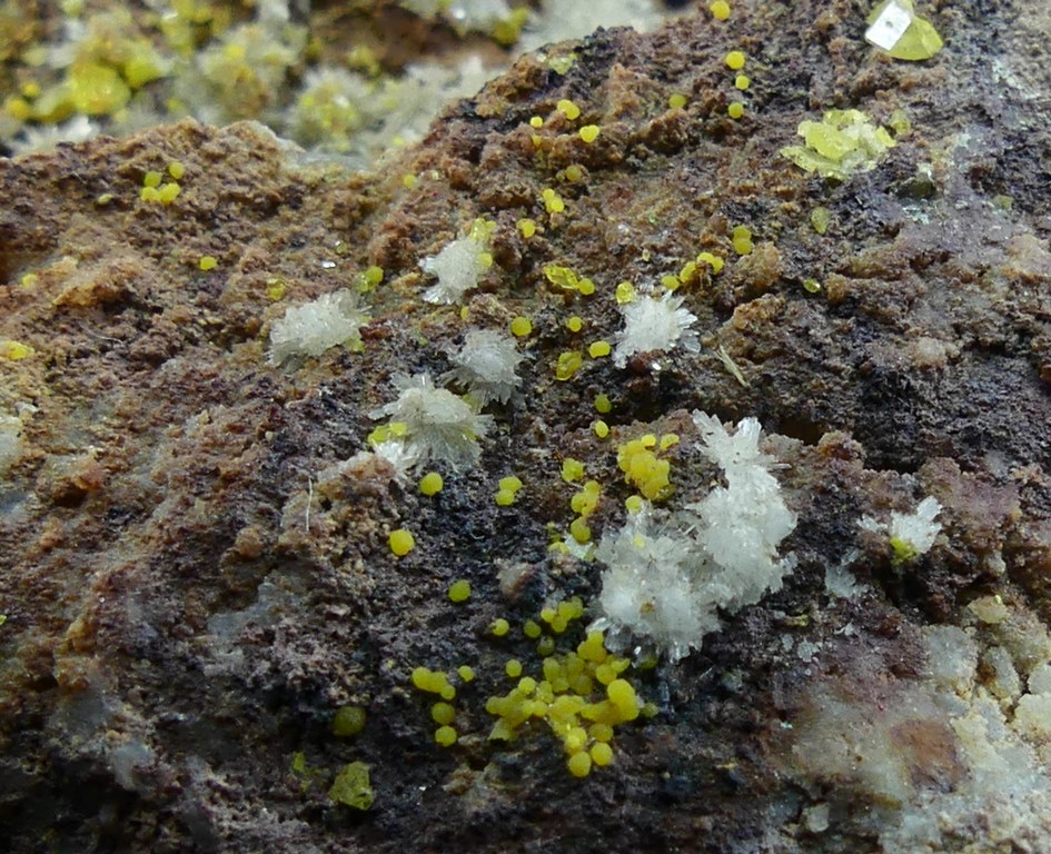 Wulfenite & Hemimorphite