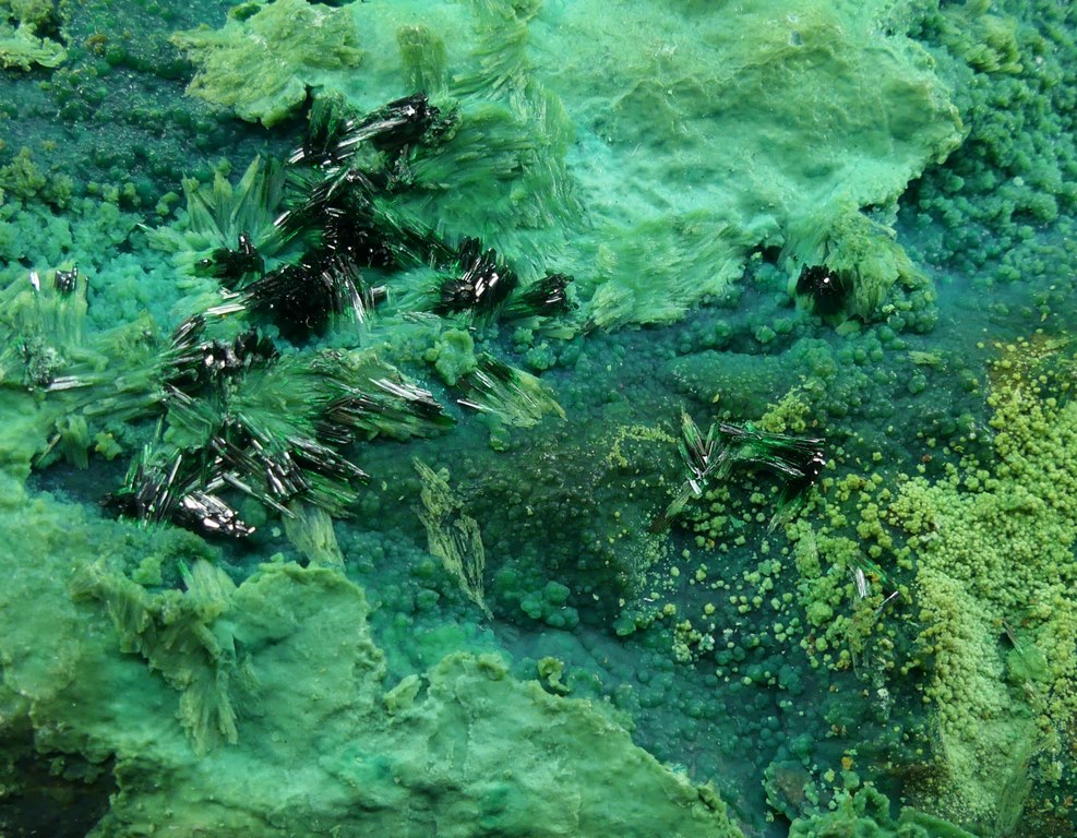 Atacamite & Chrysocolla