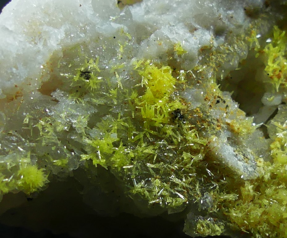 Mimetite & Pyromorphite