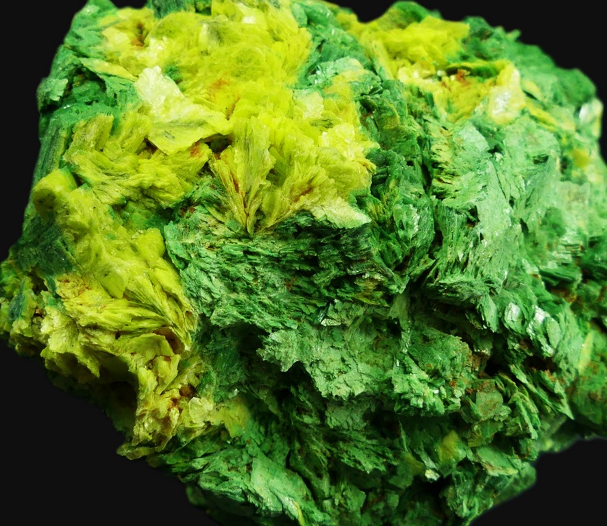 Autunite & Torbernite