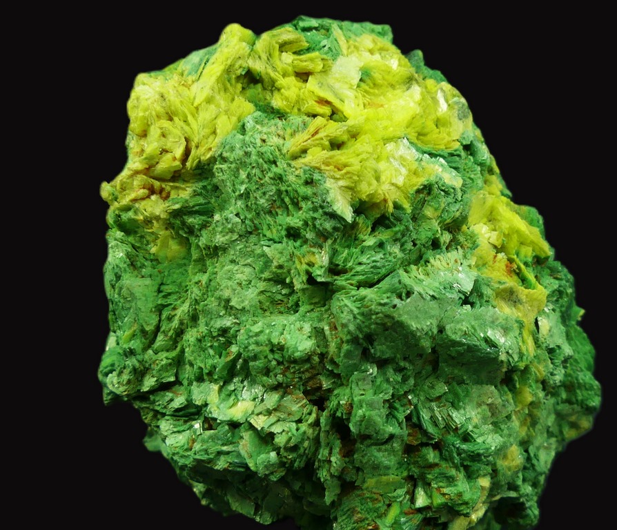 Autunite & Torbernite