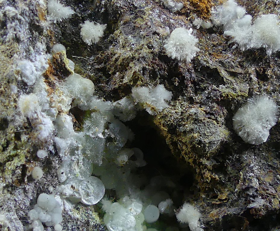 Calcioferrite & Fluorapatite