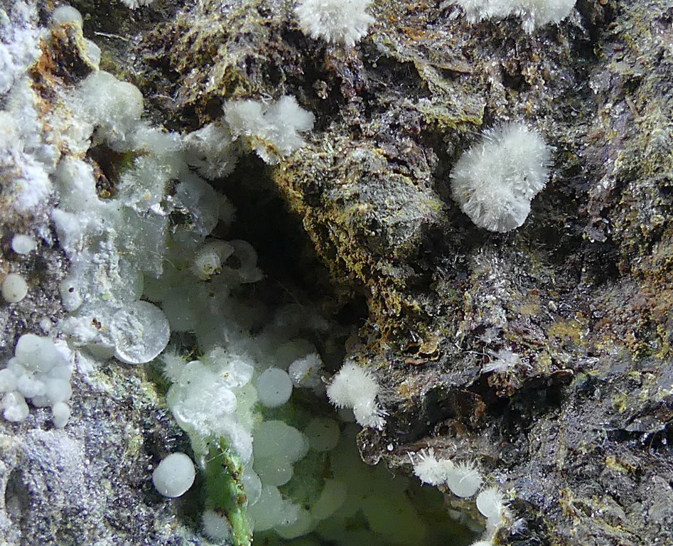 Calcioferrite & Fluorapatite
