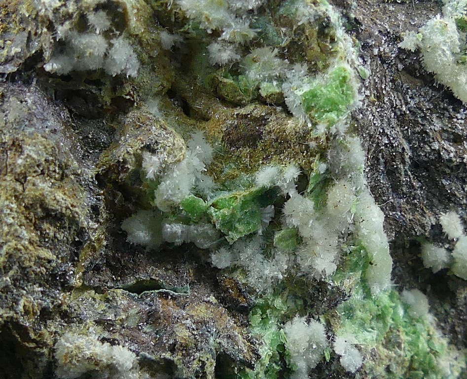 Calcioferrite & Fluorapatite