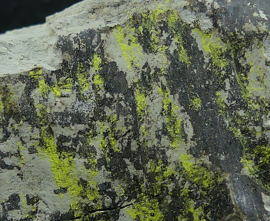 Tyuyamunite & Sepiolite