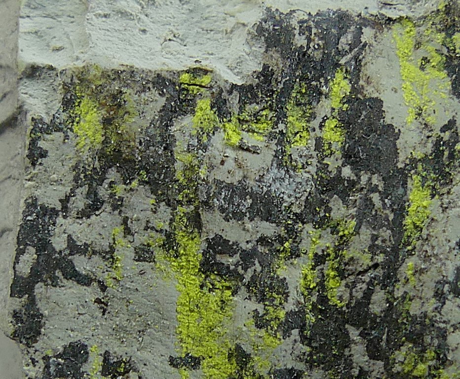 Tyuyamunite & Sepiolite