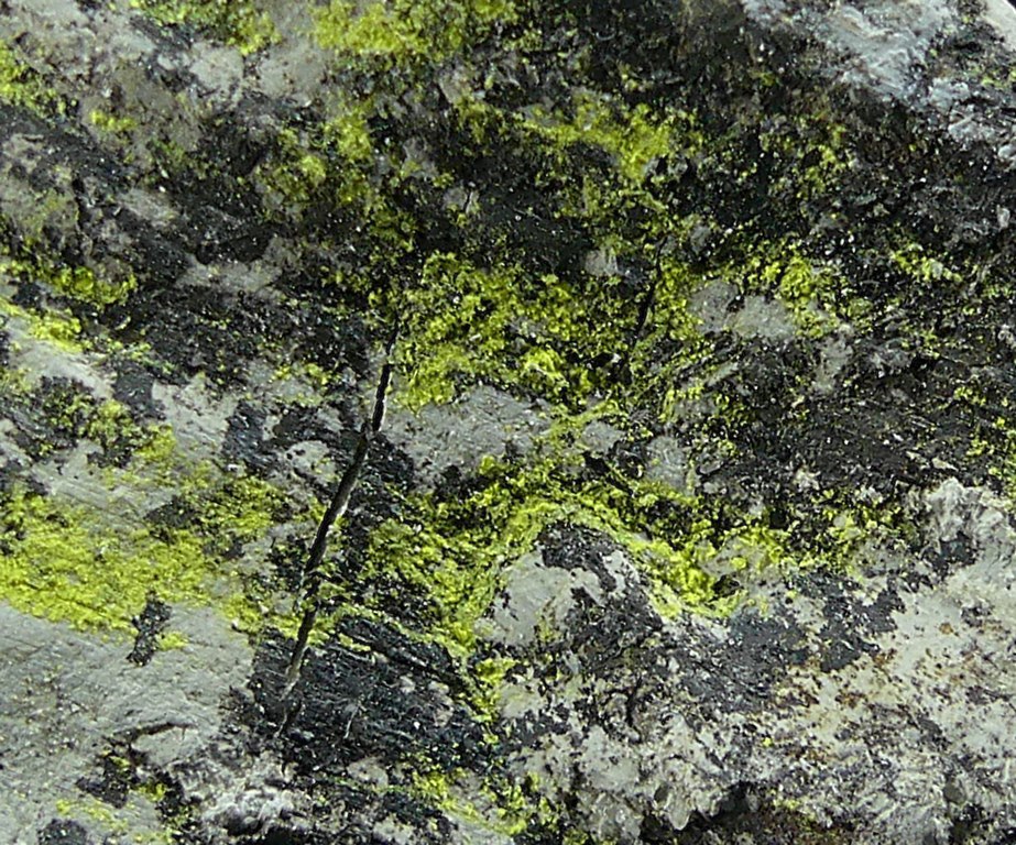 Tyuyamunite & Sepiolite