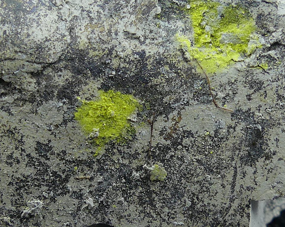 Tyuyamunite & Sepiolite