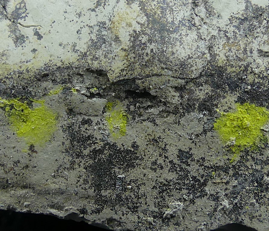 Tyuyamunite & Sepiolite