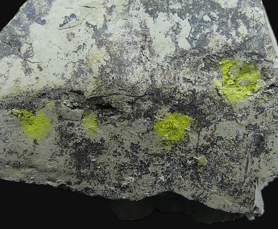 Tyuyamunite & Sepiolite