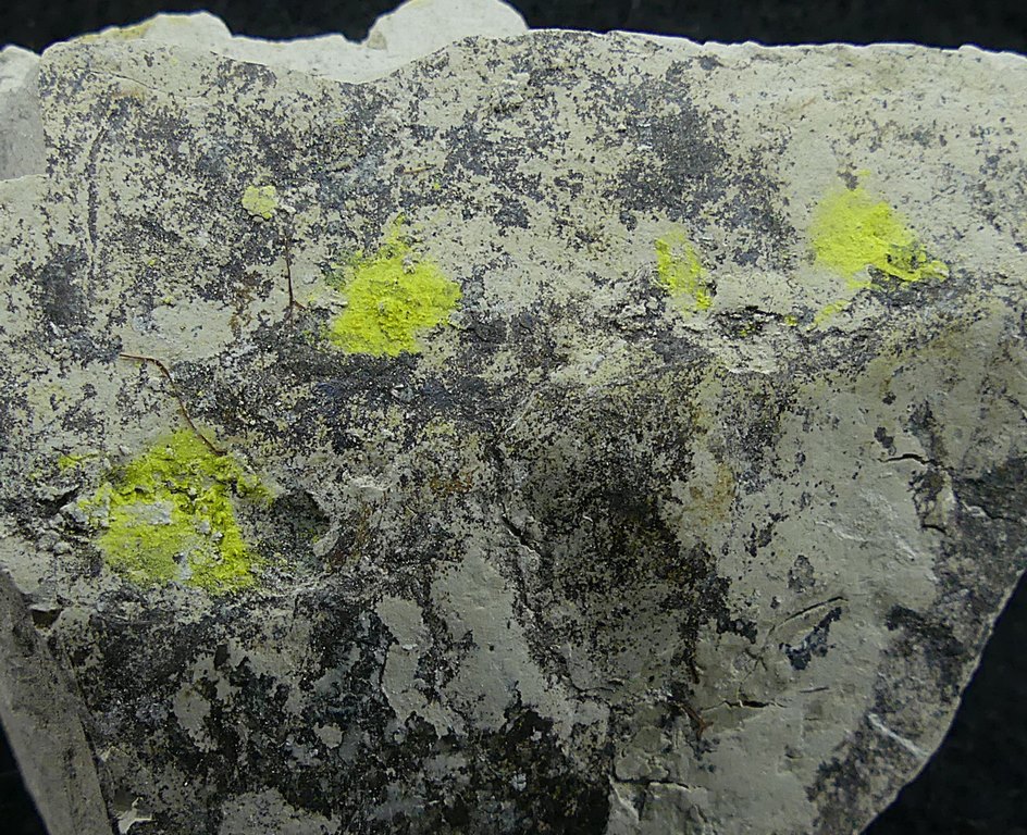 Tyuyamunite & Sepiolite