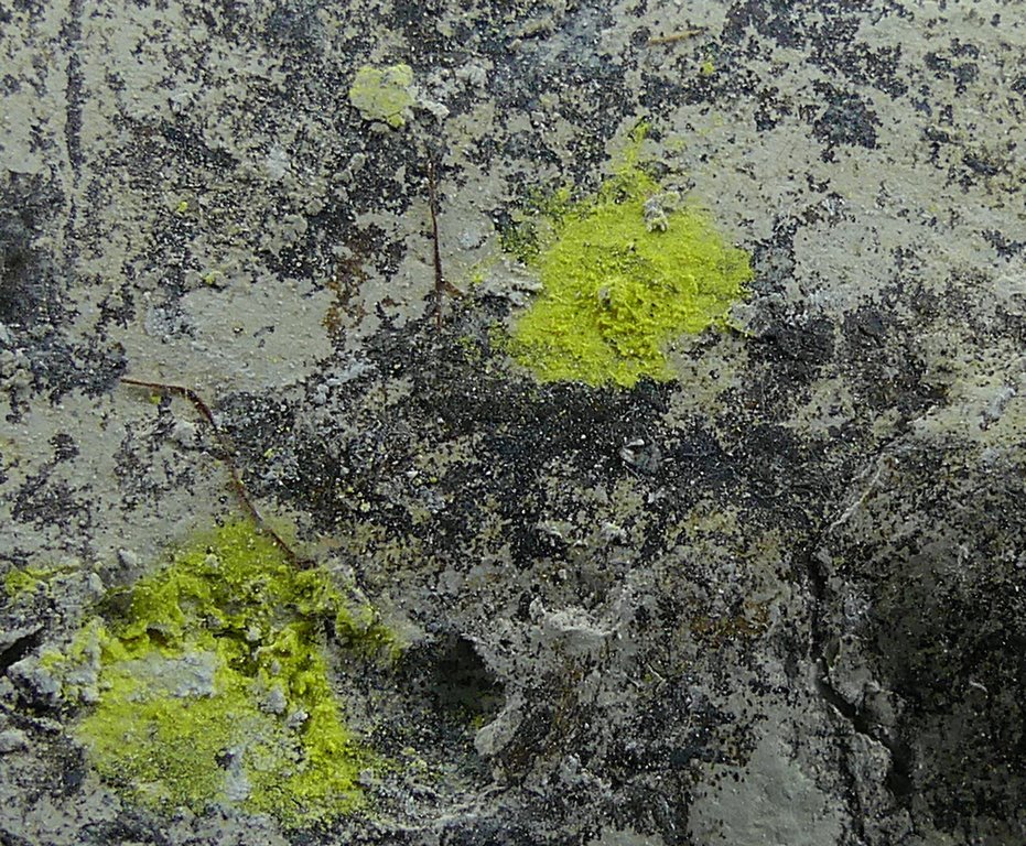 Tyuyamunite & Sepiolite