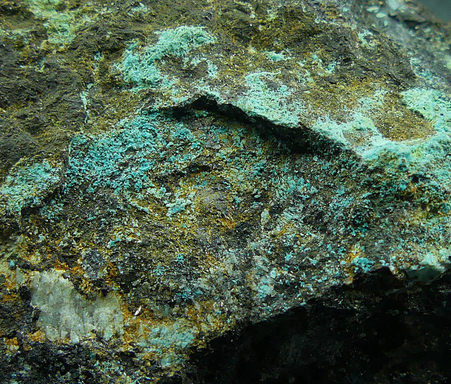 Serpierite & Magnetite