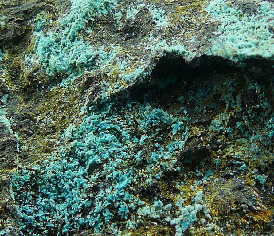 Serpierite & Magnetite