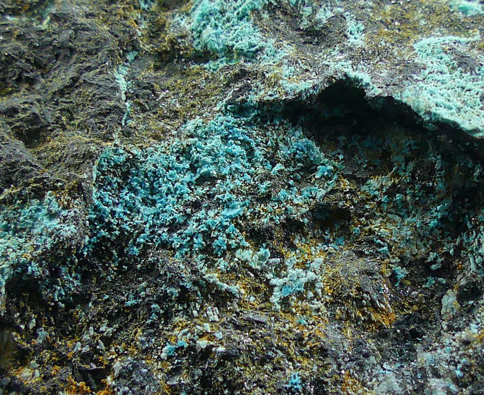 Serpierite & Magnetite