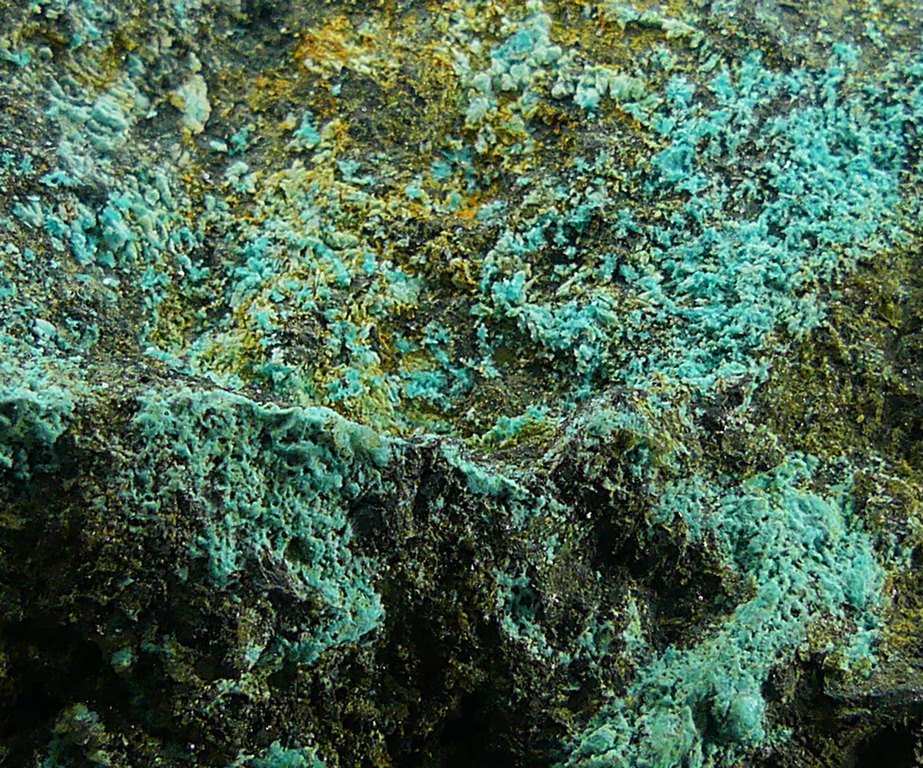 Serpierite & Magnetite