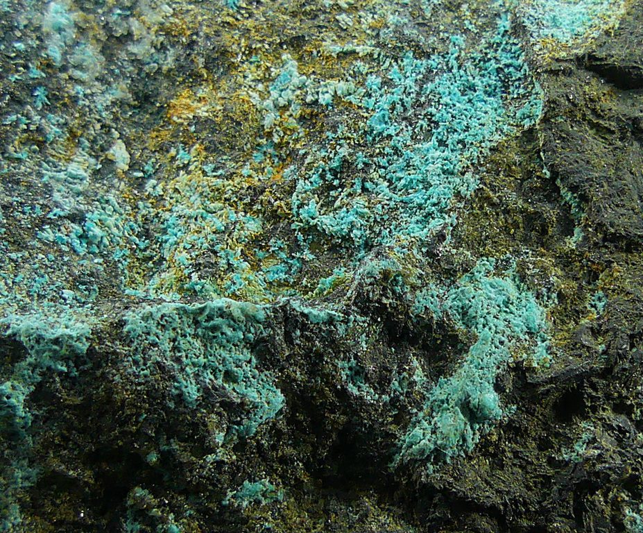 Serpierite & Magnetite