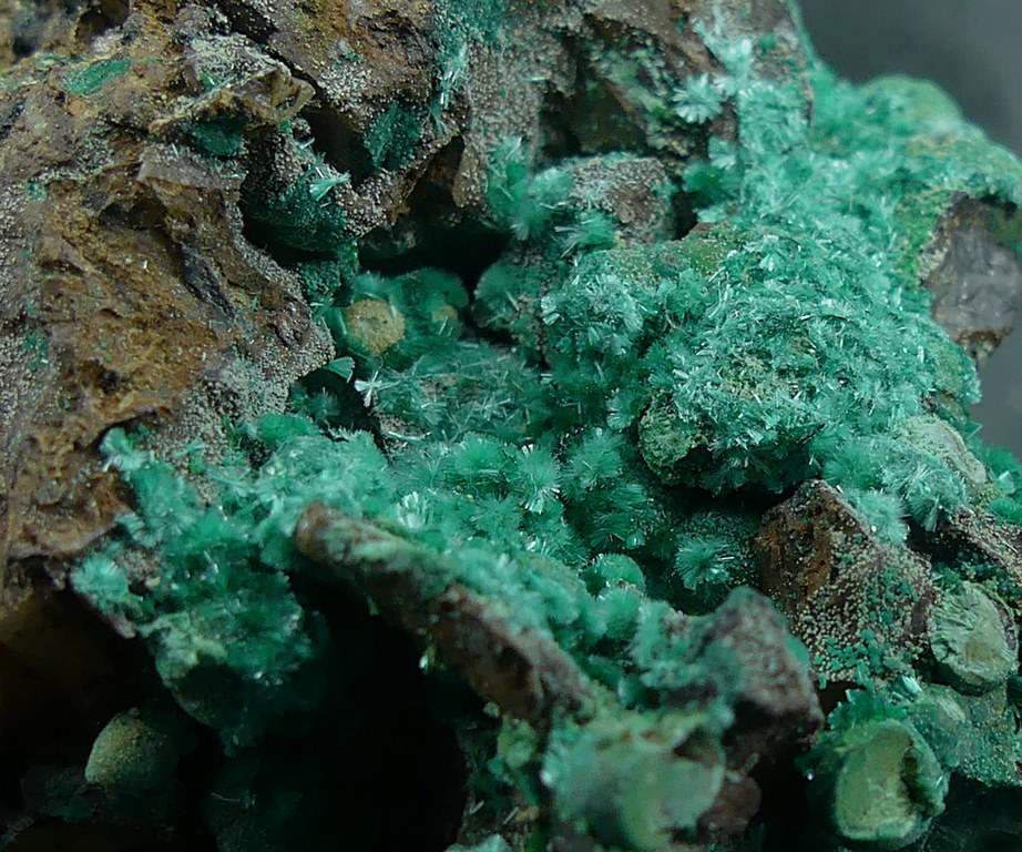 Brochantite & Malachite