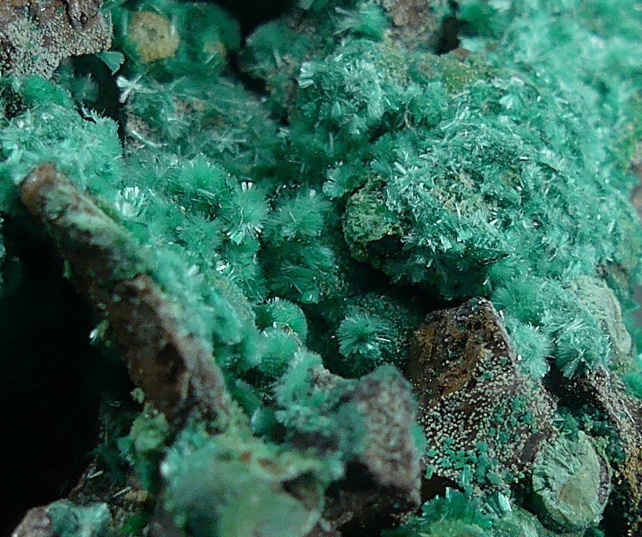 Brochantite & Malachite