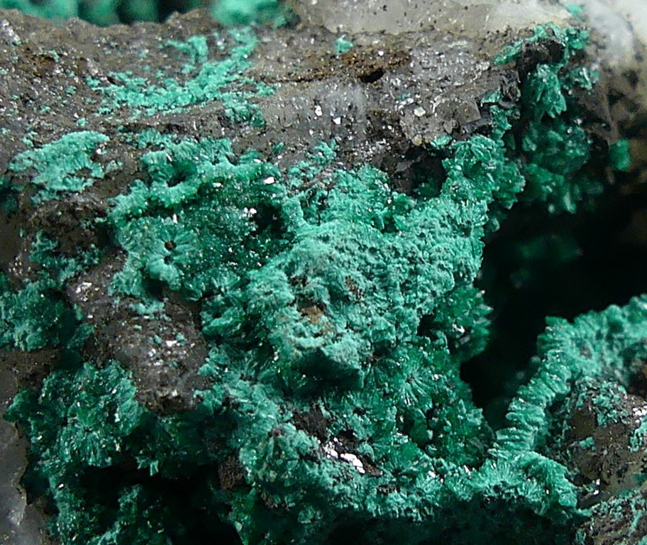 Pseudomalachite & Libethenite