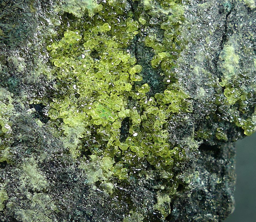Native Sulphur