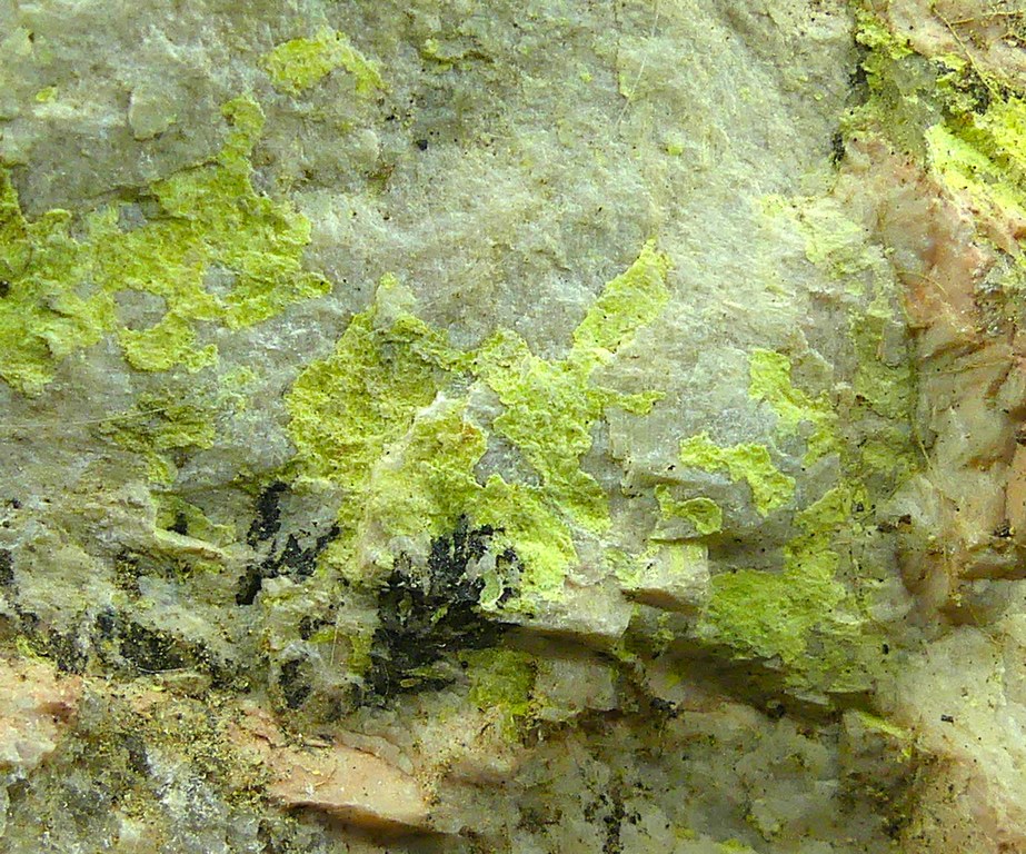 Uranocircite