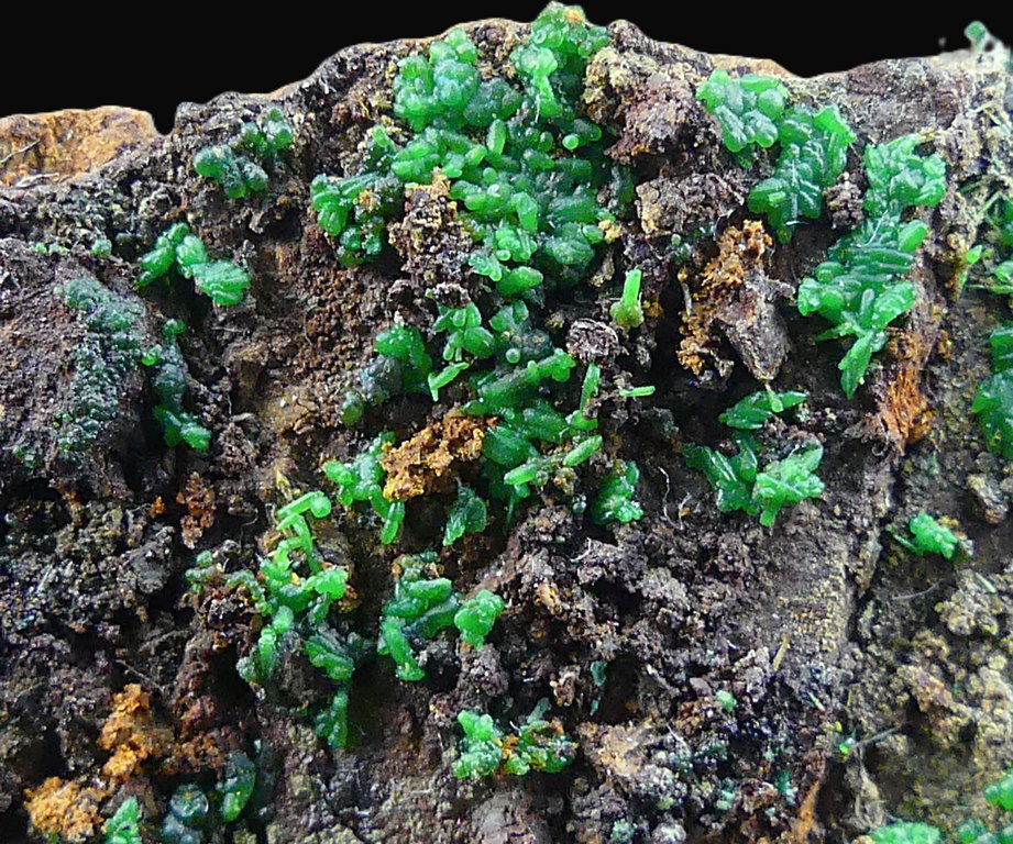 Conichalcite