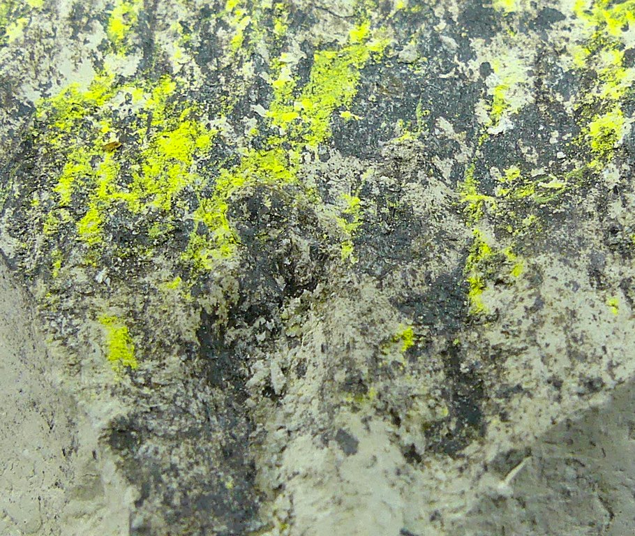 Tyuyamunite & Sepiolite