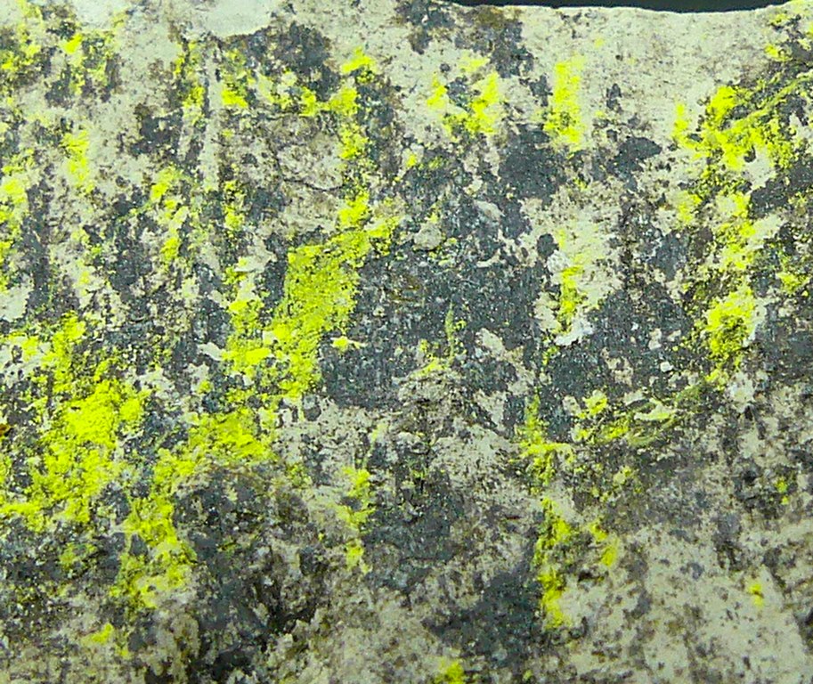 Tyuyamunite & Sepiolite