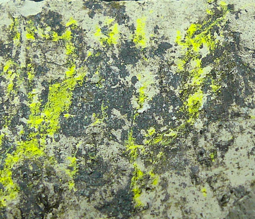 Tyuyamunite & Sepiolite