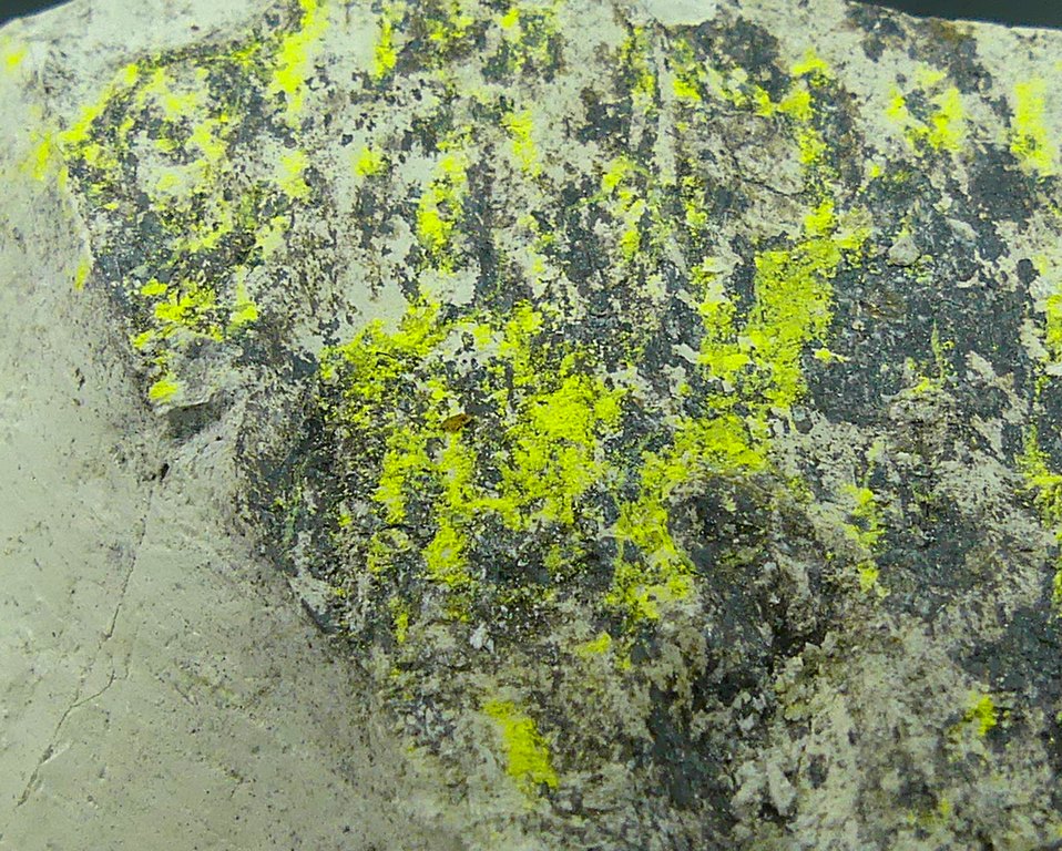 Tyuyamunite & Sepiolite