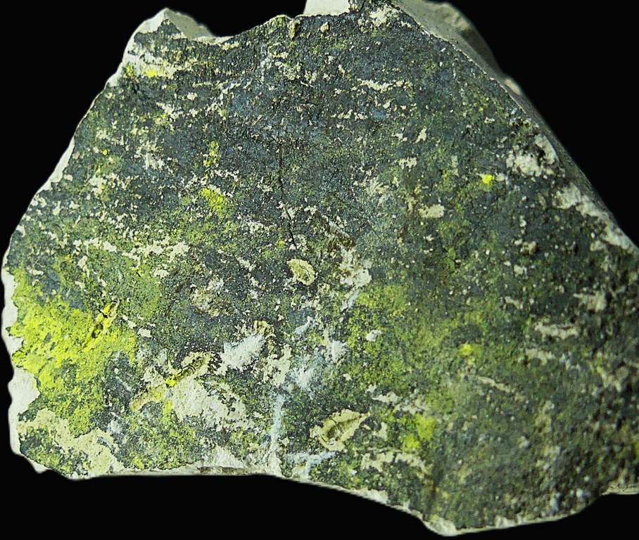 Tyuyamunite & Sepiolite
