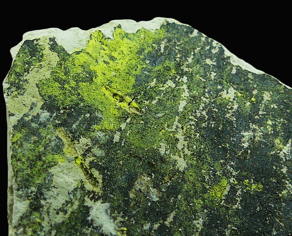 Tyuyamunite & Sepiolite